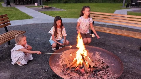 Three children gather around a fire in a park. They roast marshmallows on Stock Footage 341491704