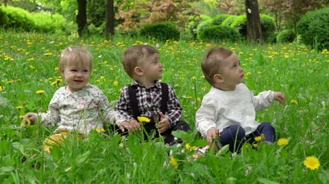Three children on the grass on which the petals are falling from the trees, slow Stock Footage 62802749