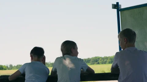 Three Children Looking Out Over Sunny Countryside Stock Footage 339031679