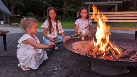 Three children sit around a fire pit in a park at dusk. They roast marshmallows Stock Footage 341491725