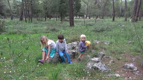 Three children sit on the glade Stock Footage 120106197