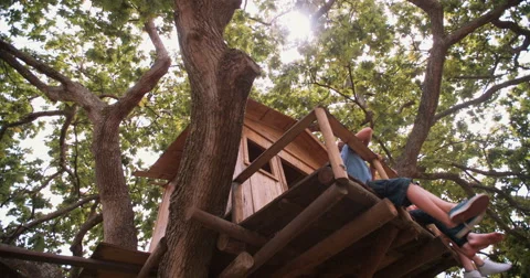 Three children talking while playing in a wooden treehouse Stock Footage 61288077