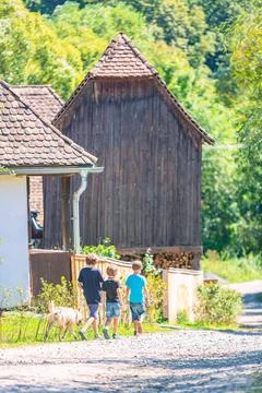 Three Children Walking Along a Rustic Village Road Accompanied by a Dog on .. Stock Photos