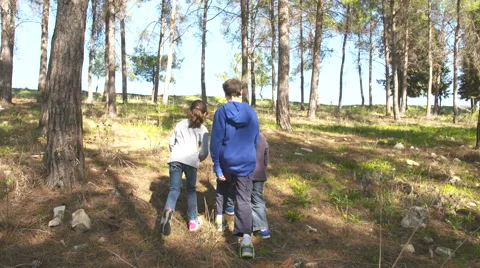 Three Children walking in a forest Stock-Footage 59363166
