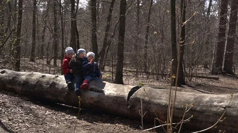 Three children in warm clothes sit on a tree in the spring forest and have fun Stock Footage 129090980