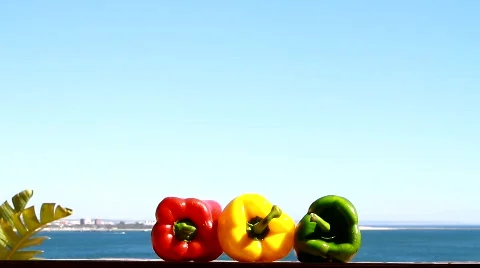 Three Chilli Peppers and The Ocean Stock Footage 777087
