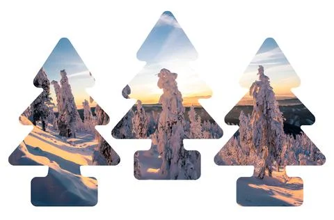 Three christmas tree silhouettes filled with photograph of a beautiful winter Stock Photos