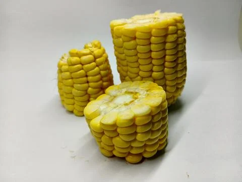 Three Chunks of Boiled Sweet Corn Cob on White Background 写真素材