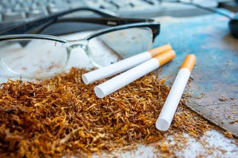 Three cigarettes resting on a pile of loose tobacco leaves with clear readi.. Stock Photos