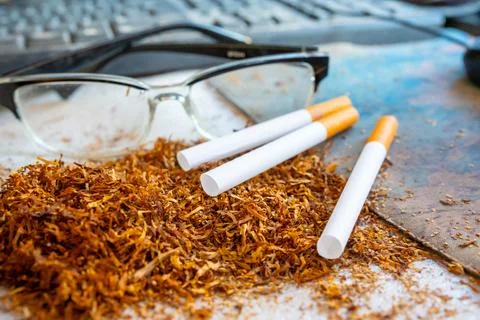 Three cigarettes resting on a pile of loose tobacco leaves with clear readi.. Stock Photos