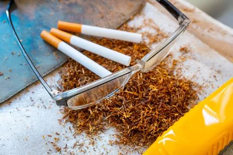 Three cigarettes resting on a pile of loose tobacco leaves with clear readi.. Stock Photos