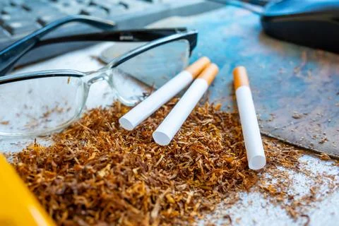 Three cigarettes resting on a pile of loose tobacco leaves with clear readi.. Stock Photos
