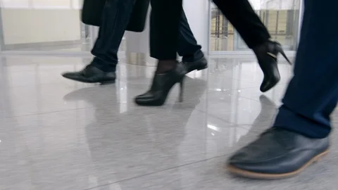 Three clerks going through the hall in office center Stock Footage 100914954