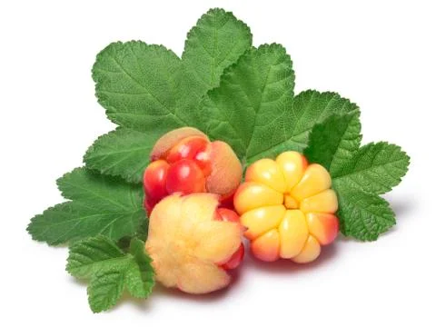 Three cloudberries (Rubus Chamaemorus) with leaves Stock Photos