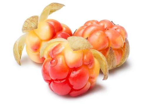 Three cloudberries (Rubus Chamaemorus) Stock Photos