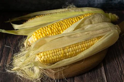 Three cobs of corn on a dark wood background Stock Photos