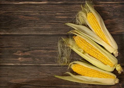 Three cobs of corn on a wood background, copy space Stock Photos