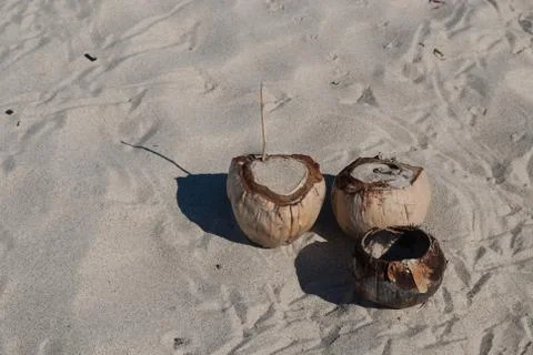 Three coconut shells on the beach Foto stock