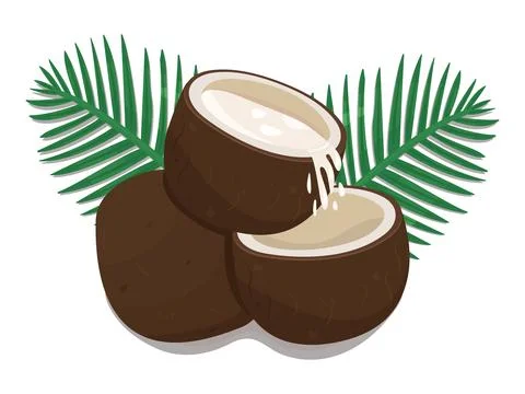 Three coconuts and two leaves Stock Illustration