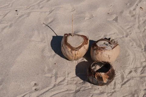 Three coconuts on sand Stock Photos