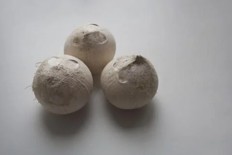 Three coconuts on white background Stock Photos