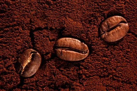 Three coffee beans on ground coffee Stock Photos