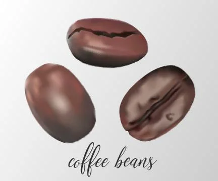 Three coffee beans Stock Illustration