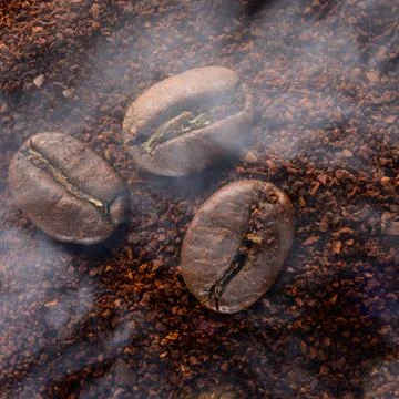 Three coffee beans lie on ground coffee, light aromatic coffee smoke. Stock Photos