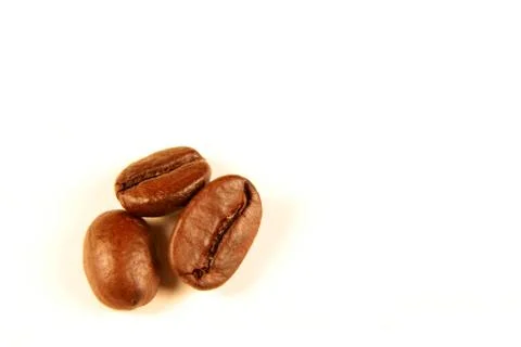 Three coffee beans Stock Photos