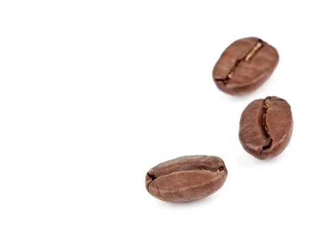 Three coffee beans Stock Photos