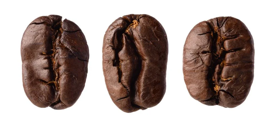 Three coffee beans Stock Photos