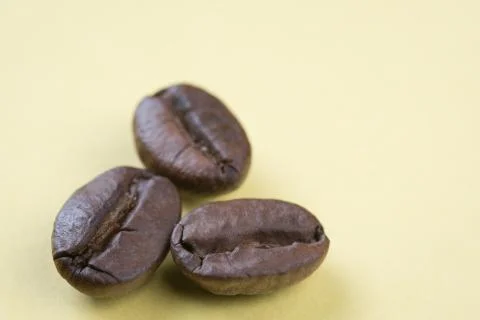 Three coffee beans Stock Photos
