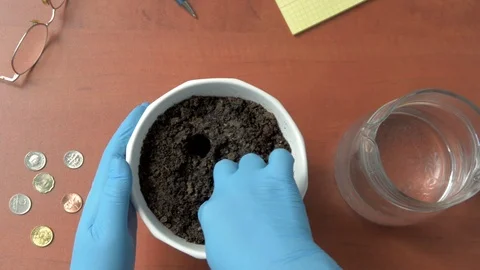 Three coins planted in a flower pot in the hope of growing a money tree Stock Footage 106022942