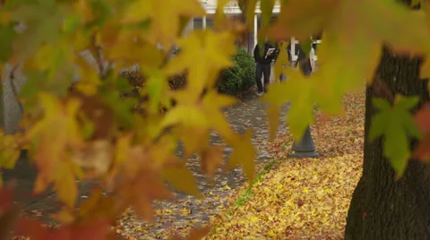 Three college students walking together on campus Stock Footage 61676632