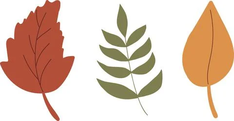 Three colored autumn leaves. Flat design plants. Vector leaf Stock Illustration
