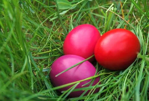Three Colored Easter Eggs Stock Photos