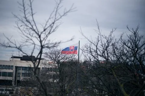 Three-colored flag of Slovakia waving in the wind Stock Photos