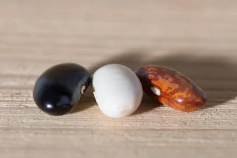 Three colored grains beans Stock Photos