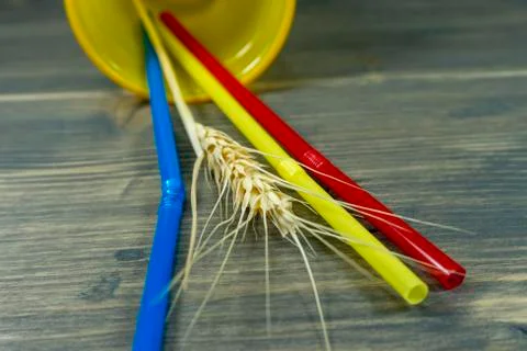 Three colored plastic straw with ear of wheat Stock Photos
