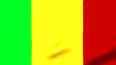 Three colored vertical stripes flag with green yellow and red Stock Footage 343573439