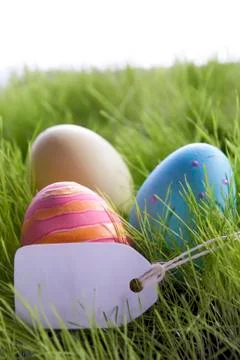 Three colorful easter eggs with empty label for copy space Foto stock