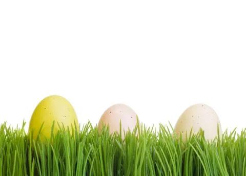 Three colorful eggs on green grass Stock Illustration