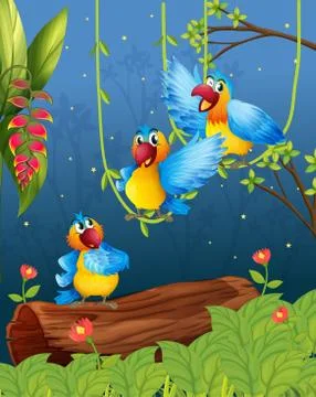 Three colorful parrots Stock Illustration