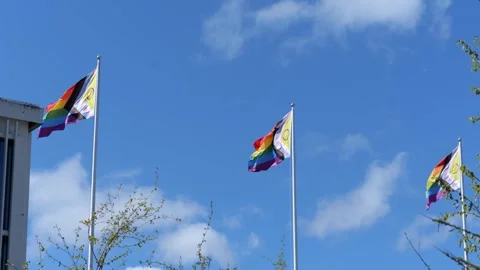 Three colorful pride flags waving in a wind. Stock Footage 311045731