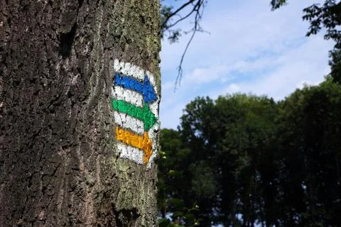 Three coloured darts help directive Stock Photos