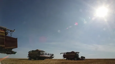 The three combine in a wheat field Video stock 73128507
