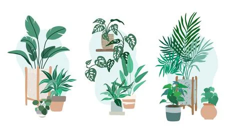 Three compositions made with potted house plants Stock Illustration