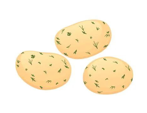 Three cooked potato with bill boiled peeled potatoes vector illustration isol Stock Illustration