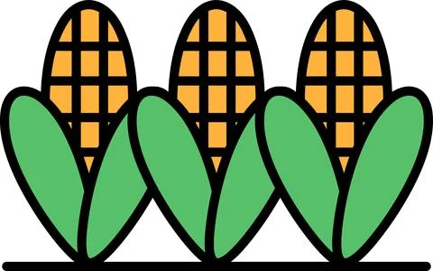 Three corn cobs are shown in a row, with the middle one being the tallest Stock Illustration