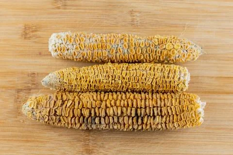 Three corn cobs dried, vegetables lie in parallel on a wooden cutting board Stockfoto's